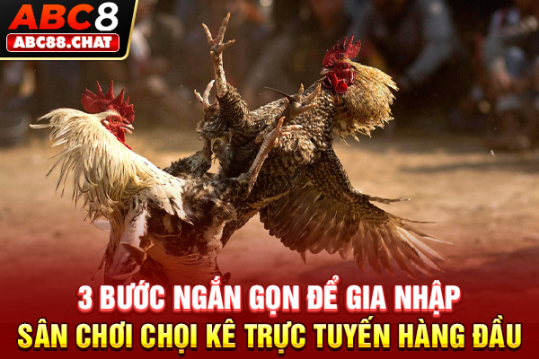 Đá Gà ABC8 Đấu Trường Kịch Tính Dành Cho Các Kê Thủ 3 bước ngắn gọn để gia nhập sân chơi chọi kê trực tuyến hàng đầu