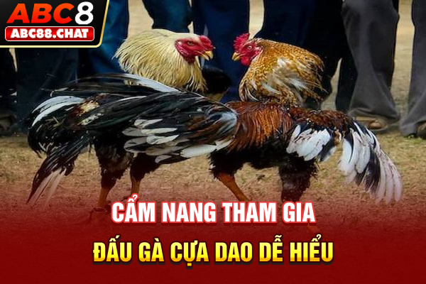 Đá Gà Cựa Dao Và Kỹ Thuật Đọc Vị Bản Lĩnh Chiến Kê Siêu Hạng Cẩm nang tham gia đấu gà cựa dao dễ hiểu