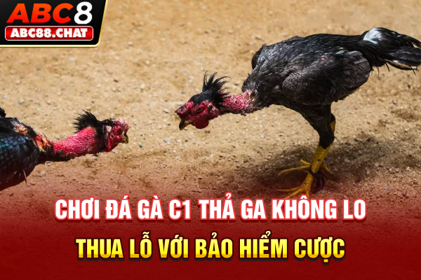 Trực Tiếp Đá Gà C1 Phát Sóng Đấu Trường Chiến Kê Danh Giá Chơi đá gà C1 thả ga không lo thua lỗ với bảo hiểm cược