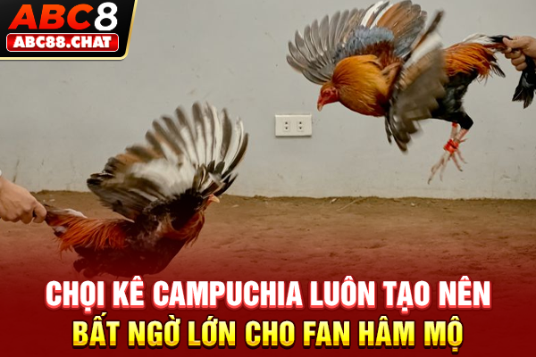 Đá Gà Campuchia Online, Săn Kèo Thomo Nảy Lửa 2026 Chọi kê Campuchia luôn tạo nên bất ngờ lớn cho fan hâm mộ