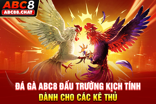 Đá Gà ABC8 Đấu Trường Kịch Tính Dành Cho Các Kê Thủ
