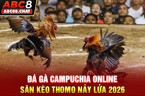 Đá Gà Campuchia Online, Săn Kèo Thomo Nảy Lửa 2026