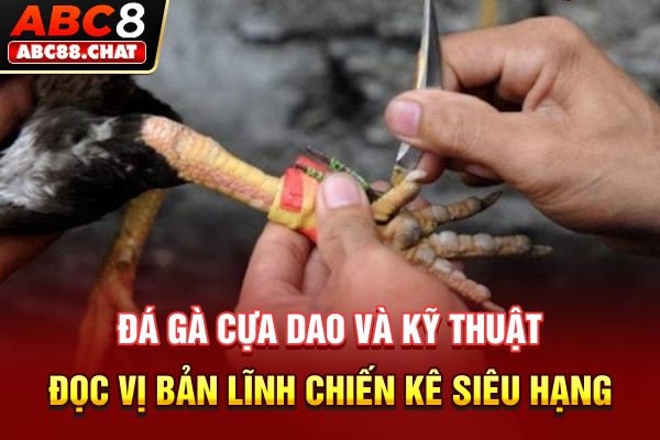 Đá Gà Cựa Dao Và Kỹ Thuật Đọc Vị Bản Lĩnh Chiến Kê Siêu Hạng