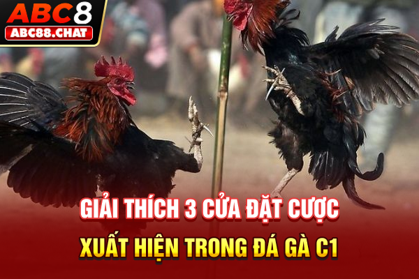 Trực Tiếp Đá Gà C1 Phát Sóng Đấu Trường Chiến Kê Danh Giá Giải thích 3 cửa đặt cược xuất hiện trong đá gà C1