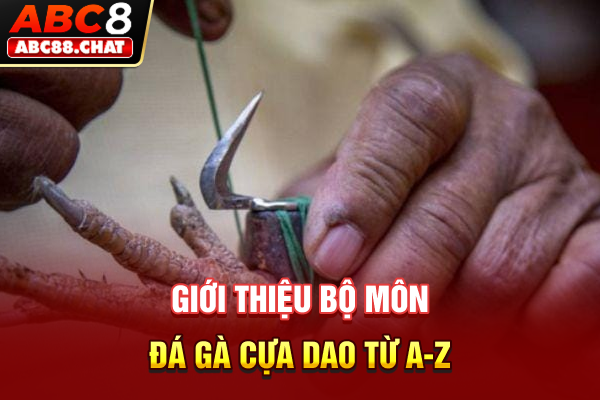 Đá Gà Cựa Dao Và Kỹ Thuật Đọc Vị Bản Lĩnh Chiến Kê Siêu Hạng Giới thiệu bộ môn đá gà cựa dao từ A-Z