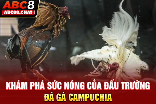 Đá Gà Campuchia Online, Săn Kèo Thomo Nảy Lửa 2026 Khám phá sức nóng của đấu trường đá gà Campuchia