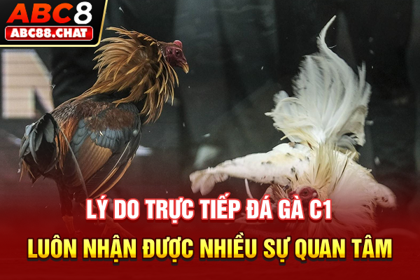 Trực Tiếp Đá Gà C1 Phát Sóng Đấu Trường Chiến Kê Danh Giá Lý do trực tiếp đá gà C1 luôn nhận được nhiều sự quan tâm