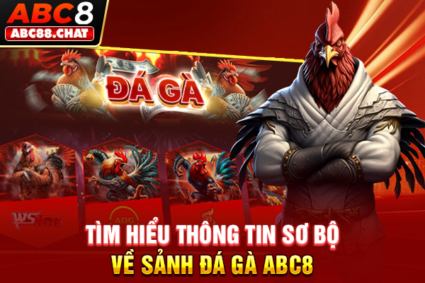 Đá Gà ABC8 Đấu Trường Kịch Tính Dành Cho Các Kê Thủ Tìm hiểu thông tin sơ bộ về sảnh đá gà ABC8