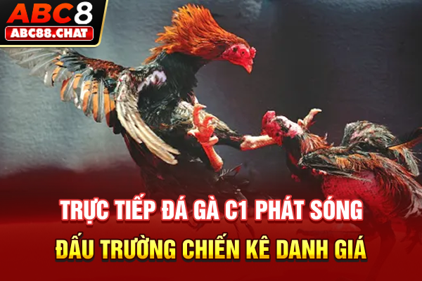Trực Tiếp Đá Gà C1 Phát Sóng Đấu Trường Chiến Kê Danh Giá