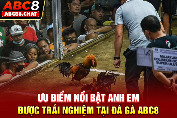 Đá Gà ABC8 Đấu Trường Kịch Tính Dành Cho Các Kê Thủ Ưu điểm nổi bật anh em được trải nghiệm tại Đá gà ABC8